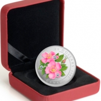 Coins